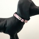 Stormzi collars - 4 designs 